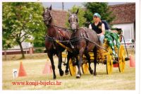 Untitled-13 copy.jpg